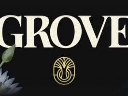 Grove Invests $50M in Tokenized Apollo Credit Fund via Plume