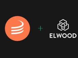 Maple, Elwood Partner to Scale Institutional Onchain Credit Strategies