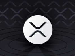 Ripple Immunefi Launch ‘Attackathon’ for XRPL Lending Protocol Security